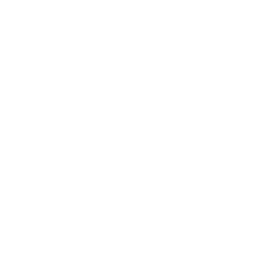 public-figure